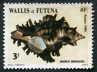 N°324-1985-WALLIS ET FUTUNA-COQUILLAGE-MUREX BRUNEUS-3F