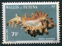 N°328-1985-WALLIS ET FUTUNA-COQUILLAGE-MUREX RAMOSUS-71F