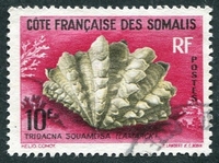 N°312-1962-COTE SOMALIS-COQUILLAGE-TRIDACNA SQUAMOSA-10F