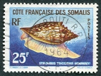 N°313-1962-COTE SOMALIS-COQUILLAGE-STROMBUS-25F