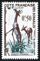 N°287-1958-COTE SOMALIS-FAUNE-PHACOCHERE-30C