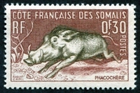N°287-1958-COTE SOMALIS-FAUNE-PHACOCHERE-30C