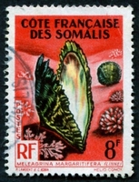 N°311-1962-COTE SOMALIS-COQUILLAGE-MELEAGRINA-8F