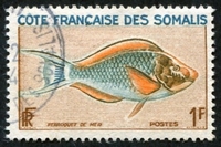 N°292-1959-COTE SOMALIS-POISSON-PERROQUET DE MER-1F