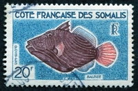 N°299-1959-COTE SOMALIS-POISSON-BALISTE-20F