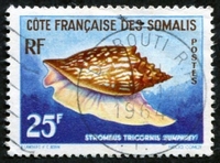 N°313-1962-COTE SOMALIS-COQUILLAGE-STROMBUS-25F