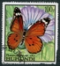 N°0284-1968-BURUNDI-PAPILLON-DANAIS CHRYSIPPUS-100F 