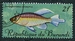 N°0220-1967-BURUNDI-POISSON-PHENACOGRAMMUS-2F 