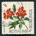 N°0173-1966-BURUNDI-FLEURS-CROSSANDRA-1F 