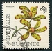 N°0174-1966-BURUNDI-FLEURS-ANSELLIA-1F50 