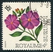 N°0183-1966-BURUNDI-FLEURS-DISSOTIS-15F 