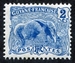 N°050-1904-GUYANE FRANCAISE-FOURMILIER-2C 