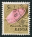 N°034-1971-KENYA-COQUILLAGE-PHARAONELLA VERNA-5C 
