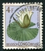 N°315-1952-CONGO BE-FLEURS-NYMPHAEA-4F 
