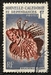 N°291-1959-NOUVELLE CALEDONIE-POISSON BRACHYRUS-1F 