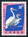N°481-1963-CONGO-OISEAUX-PELICANS-10C 