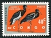 N°484-1963-CONGOK-OISEAUX-CIGOGNES VENTRE BLANC-40C 