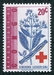 N°496-1963-CONGOK-PLANTES-CINCHONA-20C 