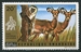 N°0451-1972-RWANDA-FAUNE-SINGE ET ANTILOPES-20C 