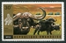 N°0452-1972-RWANDA-FAUNE-BUFFLES 