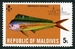 N°0414-1973-MALDIVES-POISSON-CORYPHAENA HIPPURUS-5L 