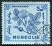 N°0434-1968-MONGOLIE-PLANTES A BAIES-ROSA ACICULARIS-5M 