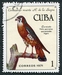 N°1540-1971-CUBA-OISEAUX-FALCO SPARVERIUS-1C 