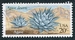 N°1369-1981-ETATS-UNIS-FLORE-CACTUS AGAVE DESERTI-20C 