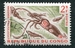 N°0144A-1961-CONGO REP-CEPHALOPODE LYCOTEUTHIS-2F 