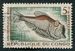 N°0146-1961-CONGO REP-POISSONS-ARGYROPELECUS GIGAS-5F 