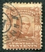N°0151-1902-ETATS-UNIS-D.WEBSTER-10C-BRUN/JAUNE 