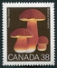 N°1105-1989-CANADA-CHAMPIGNON-BOLETUS MIRABILIS-38C 