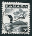 N°0296-1957-CANADA-OISEAU-PLONGEON A COLLIER-5C-NOIR 