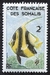 N°293-1959-COTE SOMALIS-POISSON-POISSON-PIQUE-2F 