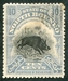 N°138-1909-BORNEO NORD-FAUNE-SANGLIER-10C-BLEU CLAIR 