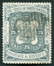 N°061-1894-BORNEO NORD-ARMOIRIES-25C-ARDOISE 
