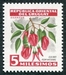 N°0623-1954-URUGUAY-FLEUR NATIONALE CEIBO-5M-ROUGE/VERT/GRIS 