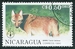 N°1556-1990-NICARAGUA-FAUNE-CANIS LATRANS-60C 