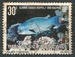 N°174-1982-POLYNESIE-POISSON-SCARUS GIBBUS-30F 