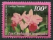 N°563-1998-POLYNESIE-FLORE-CATTLEYA HYBRIDE-100F 
