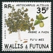 N°620-2004-WALLIS ET FUTUNA-FLORE-ARBRE A PAIN-35F 
