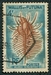 N°165-1962-WALLIS ET FUTUNA-COQUILLAGE-MUREX TENUISPINA-4F 